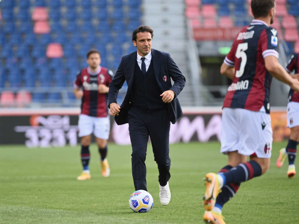 联盟的强劲 联盟的强劲